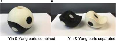 Wheelchair Tai Chi Ball Exercise for Improving Neuromuscular Functions of Older Adults With Disability